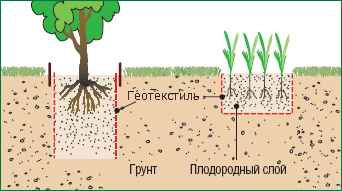 Геотекстиль для ограничения роста корней растений